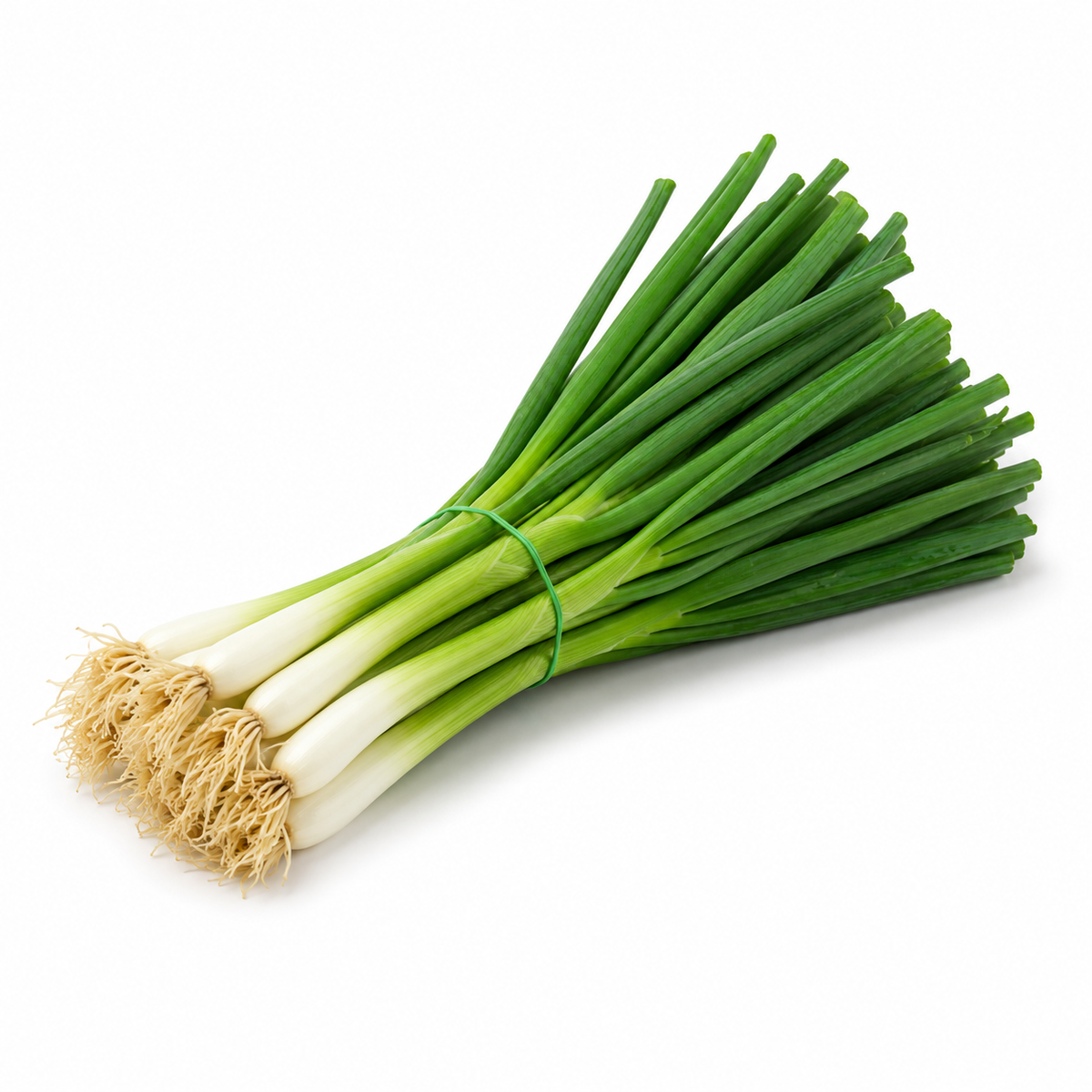 Spring Onion