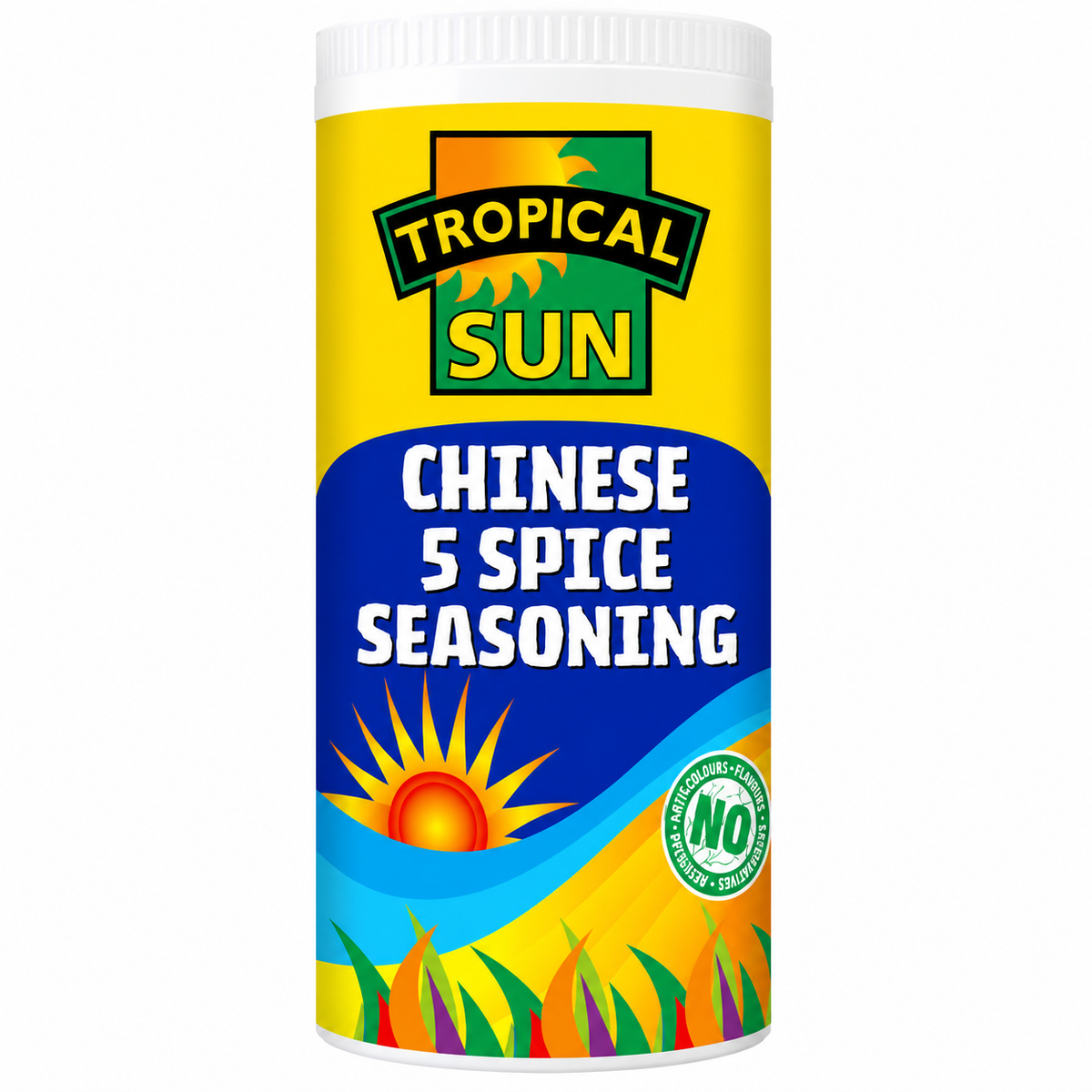 Tropical Sun Chinese 5 Spice Seasoning 100g