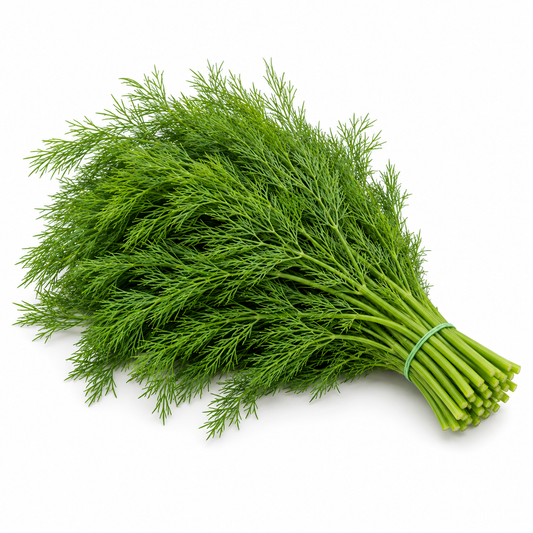 Dill