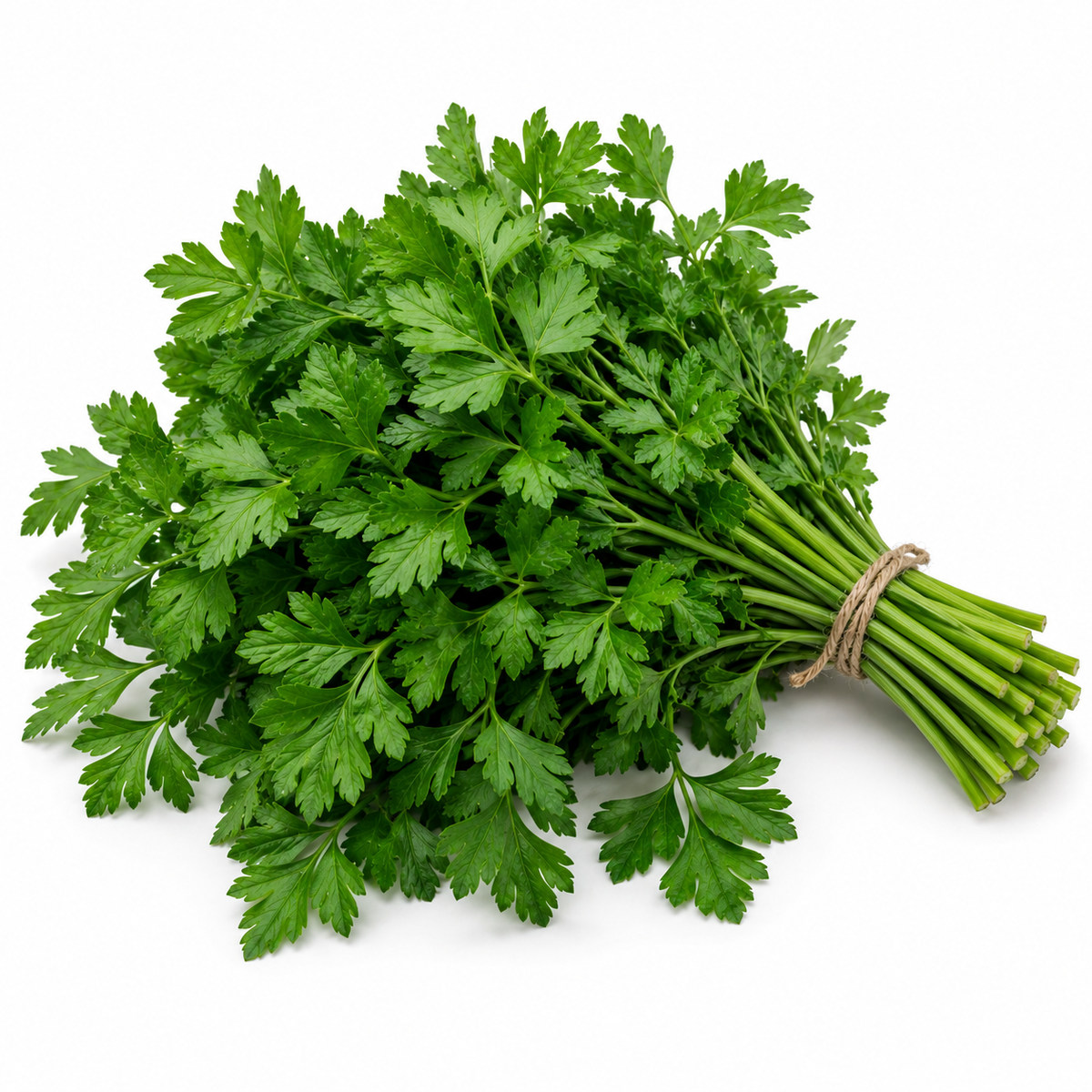 Parsley