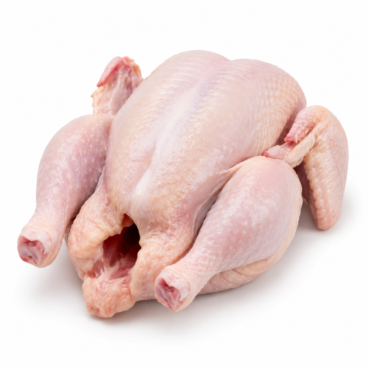 Raw Whole Baby Chicken