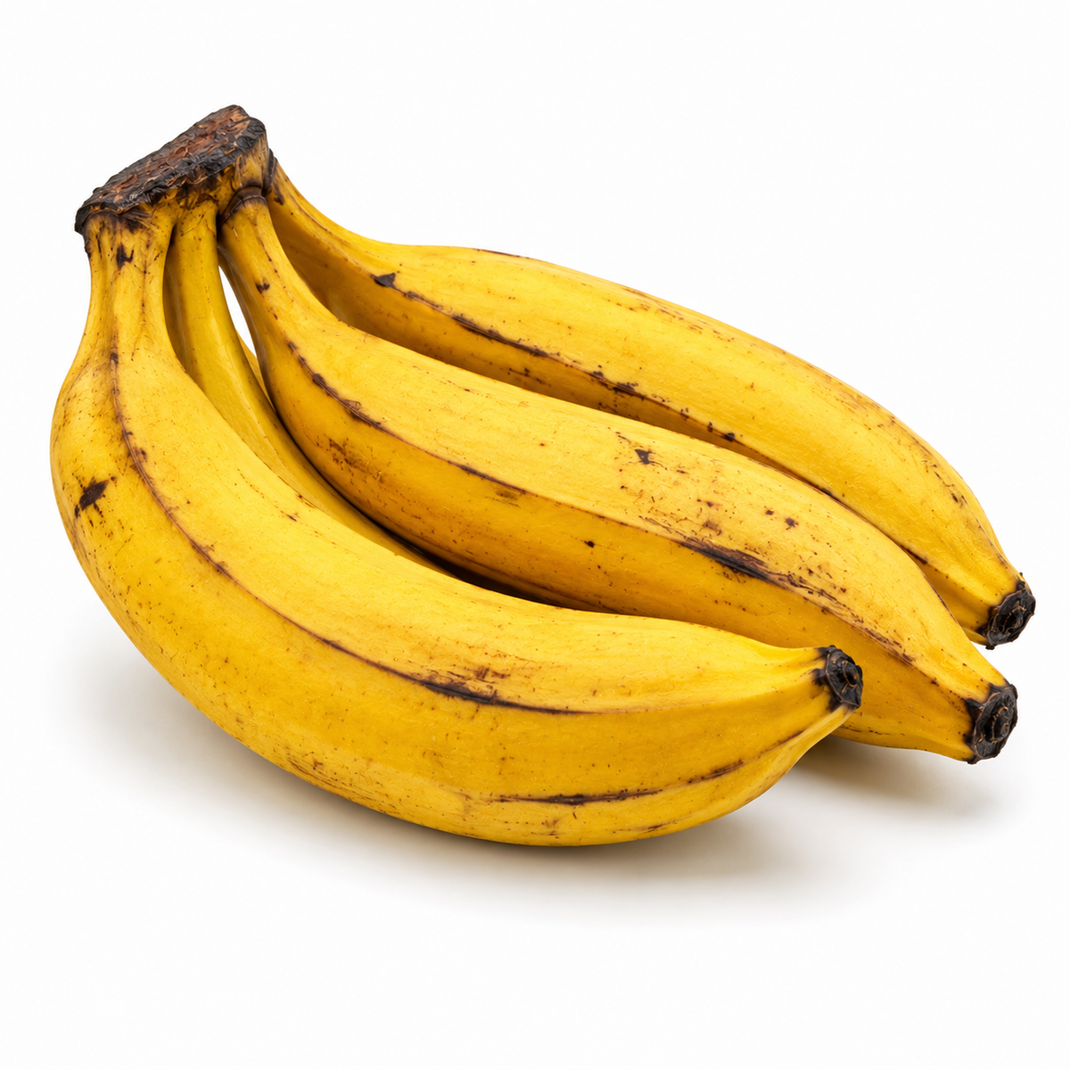 Yellow Plantain